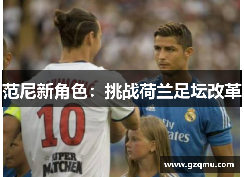 范尼新角色：挑战荷兰足坛改革